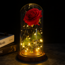 Rosa Eterna Brilhante - Galaxy Rose